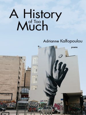 cover image of A History of Too Much